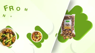 Mushroom House Dried Shiitake Premium Mushrooms, Whole