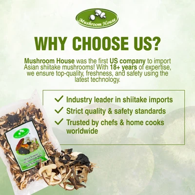 Mushroom House Dried Wild Forest Blend