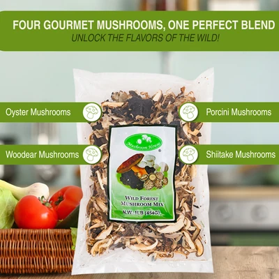 Mushroom House Dried Wild Forest Blend